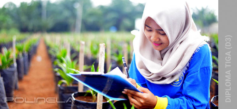 D3 Produksi Tanaman Perkebunan Politeknik Negeri Lampung